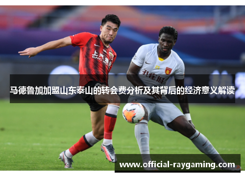 马德鲁加加盟山东泰山的转会费分析及其背后的经济意义解读