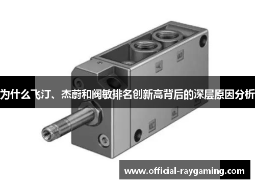 为什么飞汀、杰蔚和阀敏排名创新高背后的深层原因分析