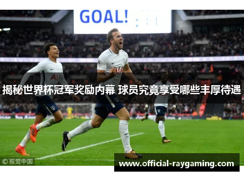 揭秘世界杯冠军奖励内幕 球员究竟享受哪些丰厚待遇