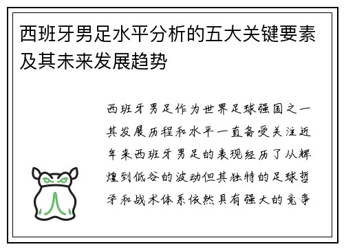 西班牙男足水平分析的五大关键要素及其未来发展趋势