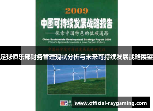 足球俱乐部财务管理现状分析与未来可持续发展战略展望